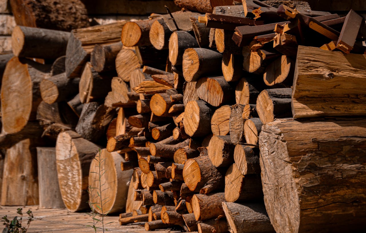 A pile of neatly stacked firewood logs in an outdoor setting, lit by the warm sun.