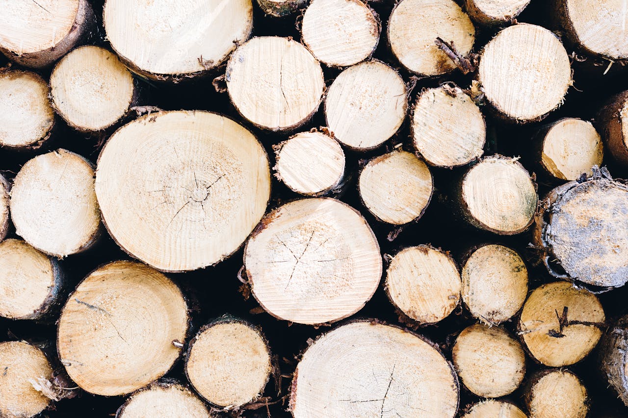 Detailed close-up view of stacked wooden logs showing natural textures and patterns.